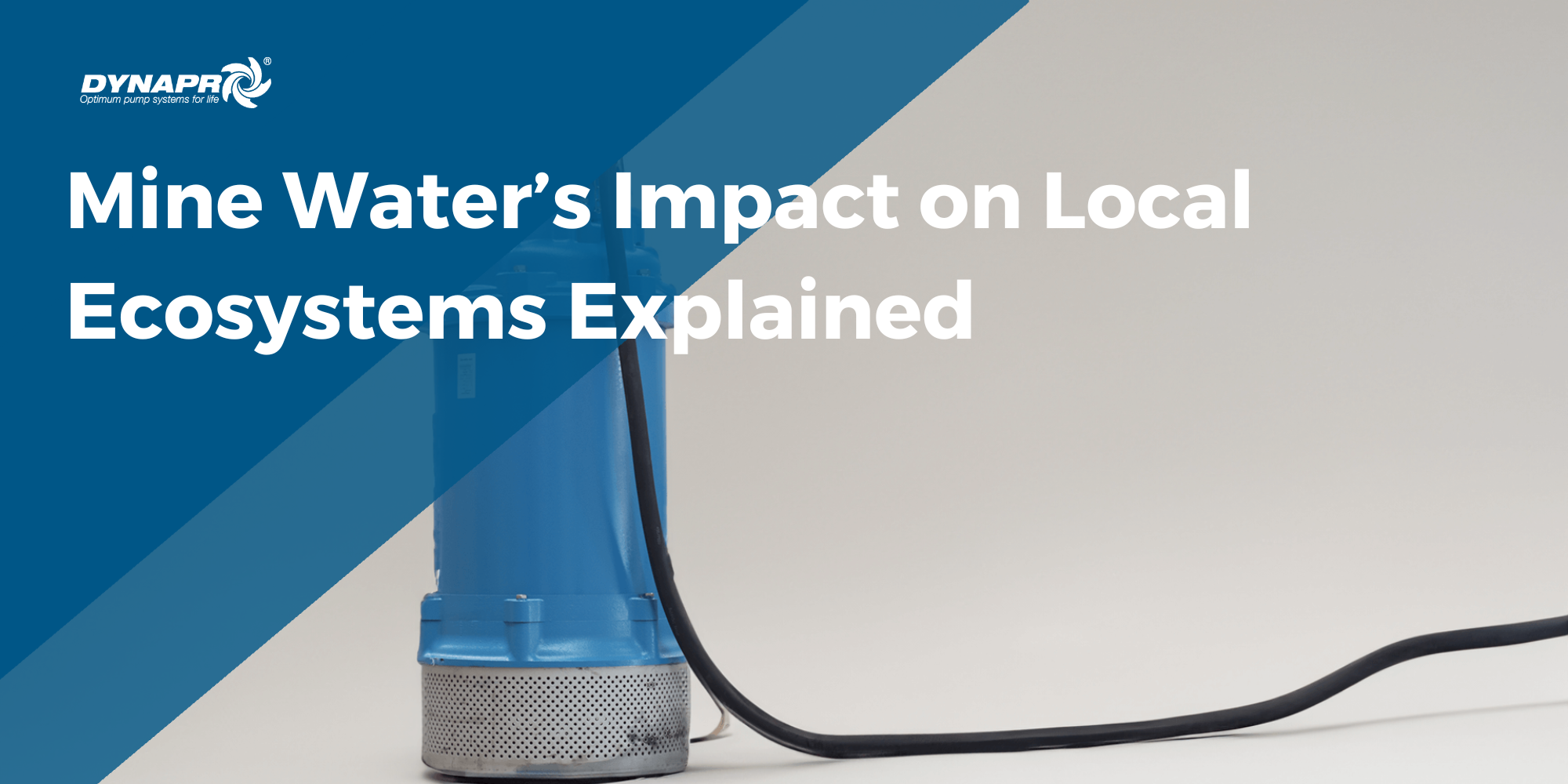 Mine Water's Impact on Local Ecosystems Explained: Key Insights