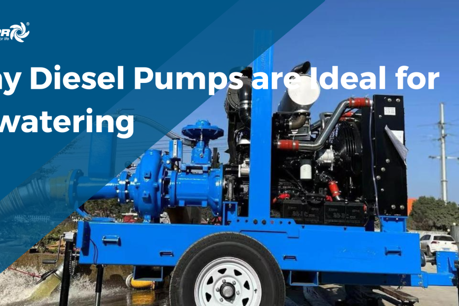 Diesel pumps